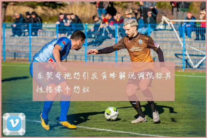 东契奇抱怨引发黄蜂解说调侃称其性格像个怨妇