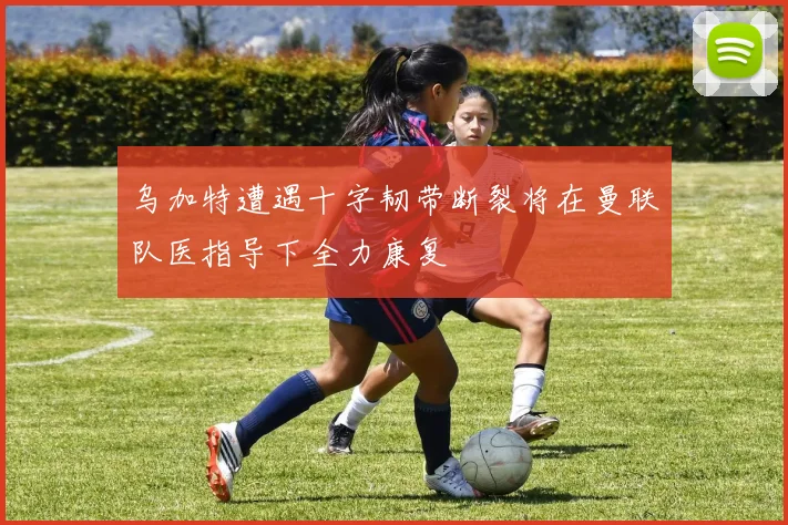 乌加特遭遇十字韧带断裂将在曼联队医指导下全力康复
